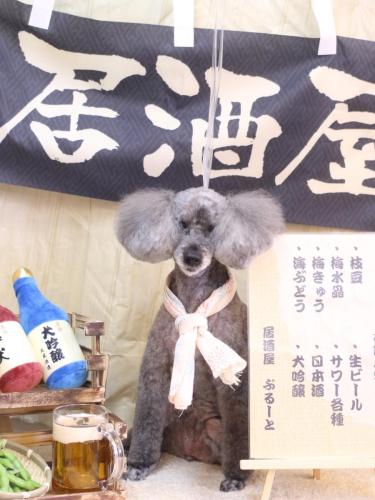 20240616さくらちゃん